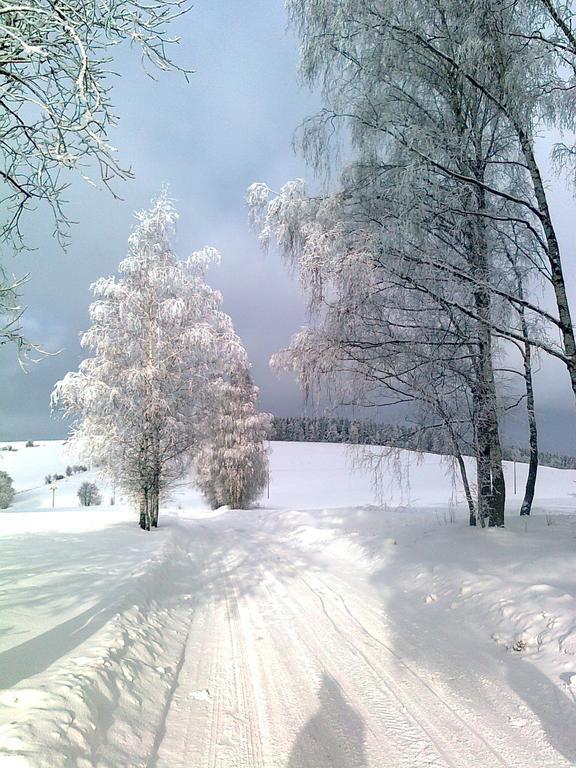 Penzion Pod Vyhlidkou Pecka Bagian luar foto