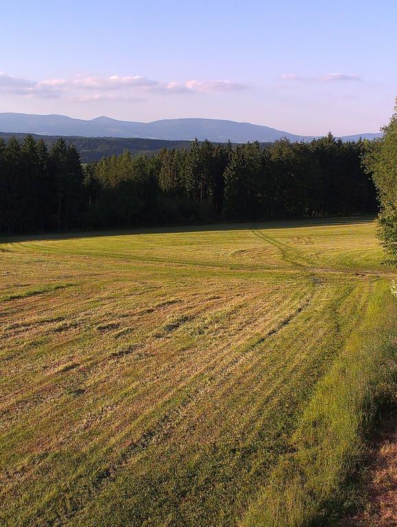 Penzion Pod Vyhlidkou Pecka Bagian luar foto