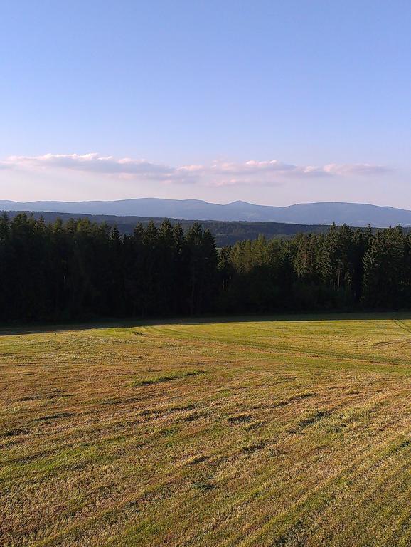 Penzion Pod Vyhlidkou Pecka Bagian luar foto
