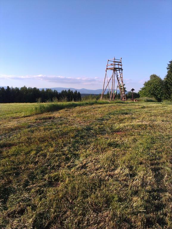Penzion Pod Vyhlidkou Pecka Bagian luar foto